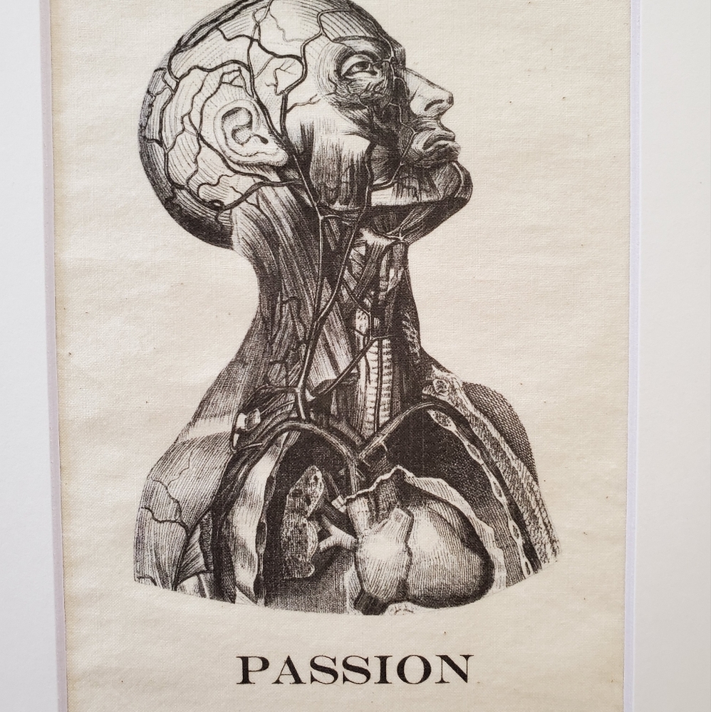 Anatomy print - Picture 2 of 2